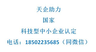 国家科技型中小企业评价咨询(咨询服务)